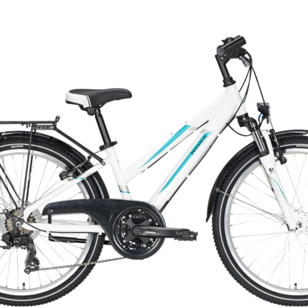 27 Ersatzteile Pegasus Fahrrad Kostenloser Simone Lucas